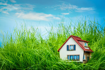 House on the green grass