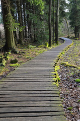 Fototapeta premium Wanerweg