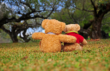 Back view of two teddy bears sitting in the garden with love.