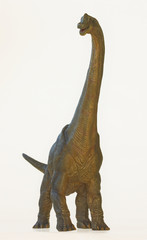 A Tall Brachiosaurus Dinosaur, or Arm Lizard - 60461353
