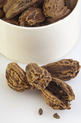 Black cardamom pods