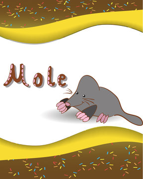 Animal alphabet letter M and 
mole with a colored background