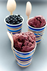 Bilberry Ice-cream