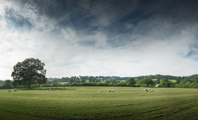 Obraz na płótnie Canvas View of the countryside, England