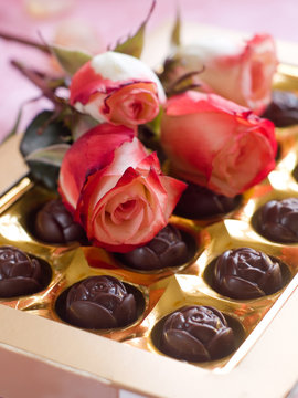 Beautiful rose and chocolate candies