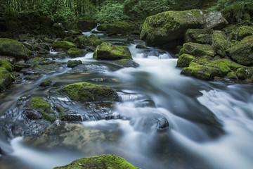 Obraz premium Golitha Falls