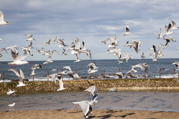 beach