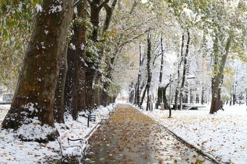 Photo sur Plexiglas Snow in the Park