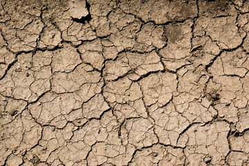 cracked soil texture