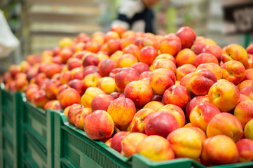 Bunch of nectarines on boxes in supermarket