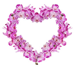heart from isolated pink orchid flowers
