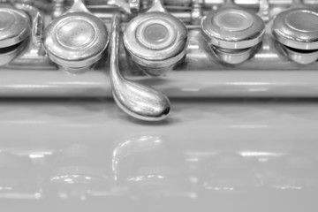 Detail of valves Flute