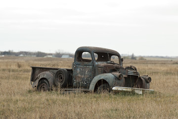 Old Rusty Truck in a pasture