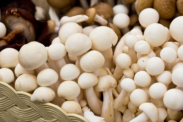 Fototapeta na wymiar the mushrooms on a tray in the vegetable market.