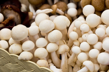 the mushrooms on a tray in the vegetable market.