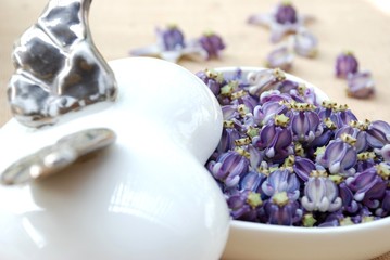 love is (crown flower)