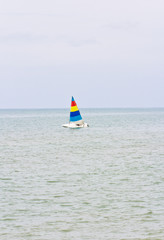 sailboats racing on the sea