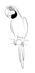 Parrot Simplified Contour Silhouette
