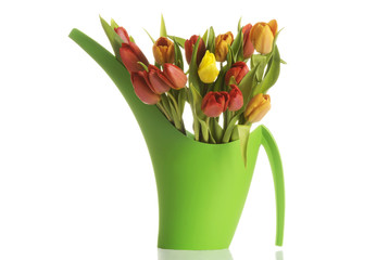 Bouquet of fresh living tulips.