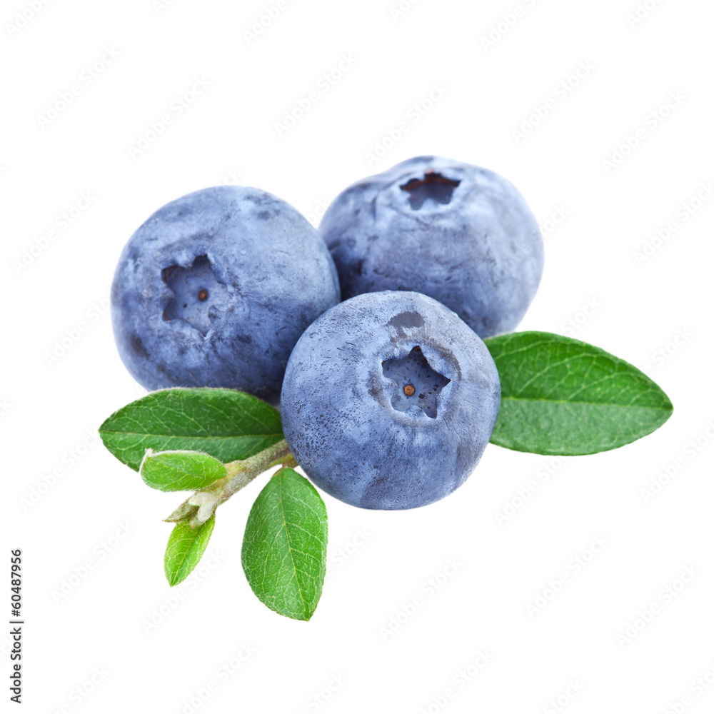 Wall mural Blueberries isolated