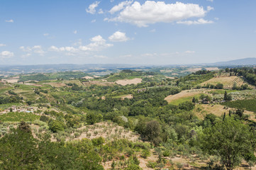 Fototapeta na wymiar San Gimignano, Toskania, drzewa oliwne, winnice, Włochy