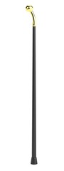 Obraz premium realistic 3d render of cane