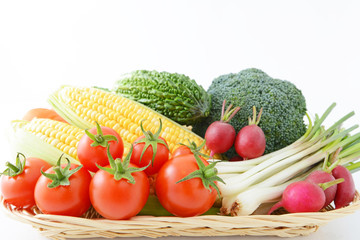 新鮮な野菜の盛り合わせ
