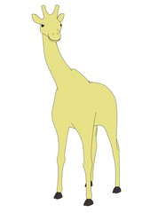 cartoon image of giraffe animal