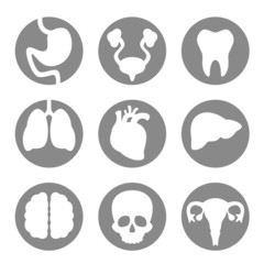 Set of icon internal organs