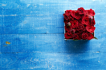 red rose