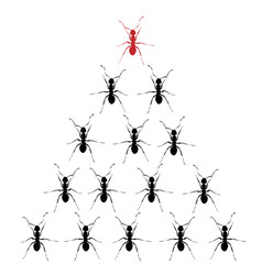 Conceptual-Stacked Black Ants with One Red Ant on Top