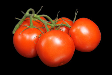 Bunch of tomatoes