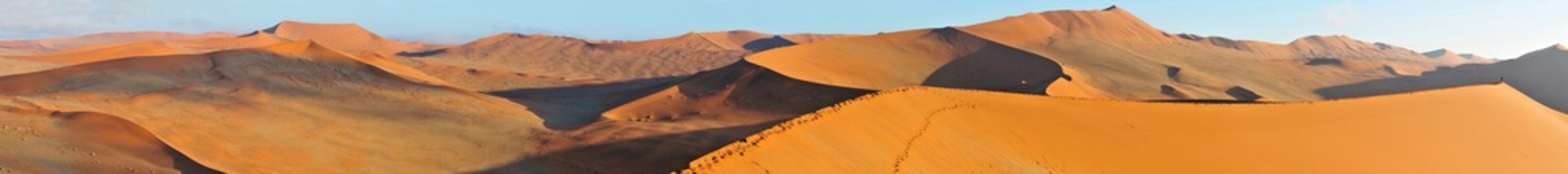 Dune landscape panorama