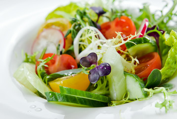fresh salad