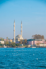 Obraz premium Istanbul mosque