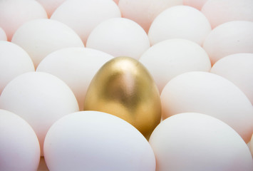 Golden eggs with duck eggs
