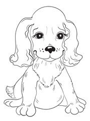 Cute puppy