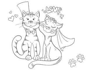 Groom and bride, cat's wedding. Cute romantic background