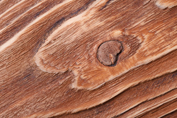 brown pine wood texture close-up. macro