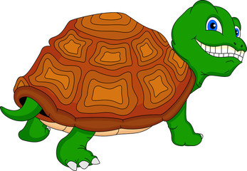cute turtle cartoon