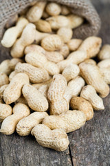 peanuts in a miniature burlap bag on wooden surface