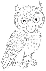 Naklejka premium Owl