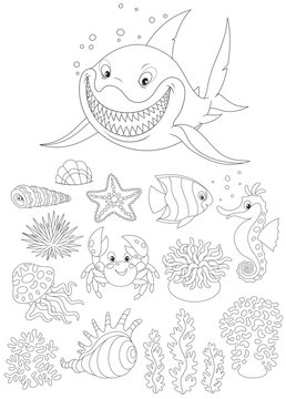 Sea animals