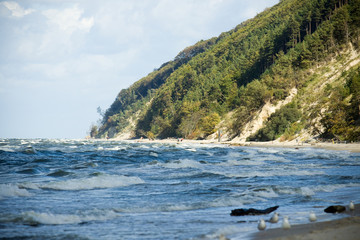 Baltic Sea Poland Wolin - coast