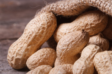 whole peanuts in the shell in a sack
