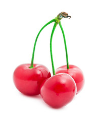 Red cherry