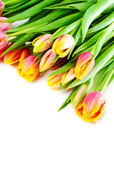 Colorful tulips on each other.