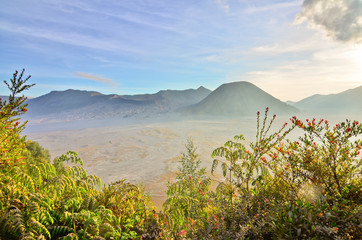 Bromo Volcano Mountain in Tengger Semeru National Park, East Jav