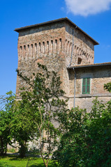Fototapeta na wymiar Castle of Panocchia. Emilia-Romagna. Italy