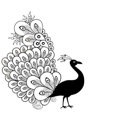 Peacock black and white